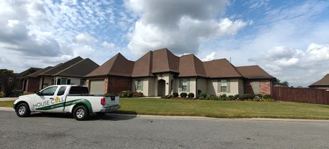 Professional pest control service